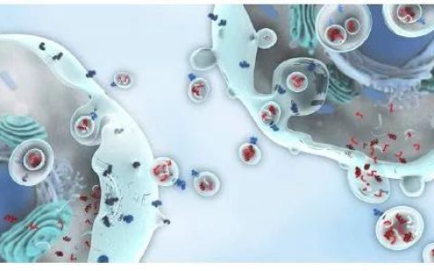 被吵得火热的“外泌体护肤品”，你了解多少？