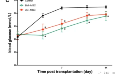 南京鼓楼医院发布：脐带与骨髓来源的干细胞治疗1型糖尿病的疗效比较