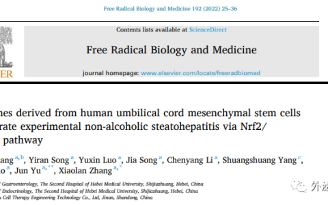 Free Radic Biol Mede | 河北医科大学第二医院张晓岚：人脐带源间充质干细胞外泌体减轻非酒精性脂肪性肝炎