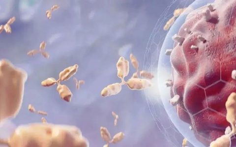 今年多地政府发文支持基因治疗、细胞治疗与基因编辑的发展