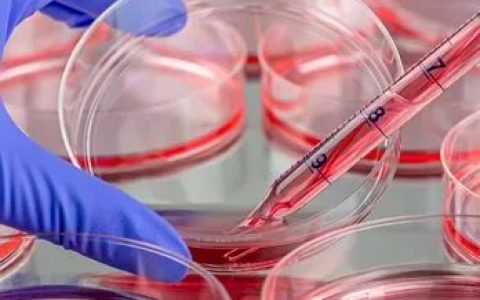 干细胞上清液、外泌体、细胞因子三者之间的关系