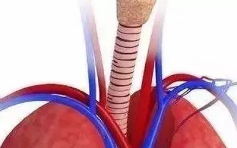 【健康科普】干细胞的治疗作用！