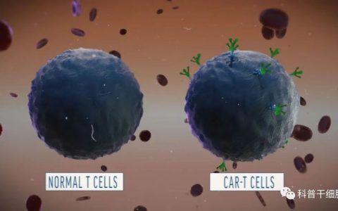 2022国内企业实体瘤CAR-T疗法进展
