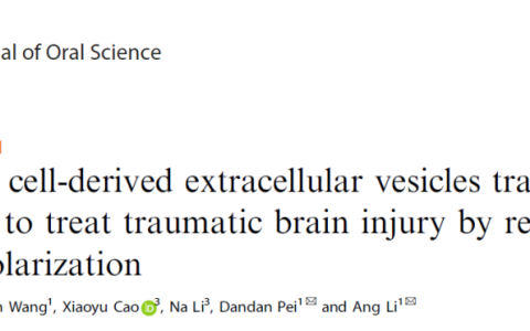 Int J Oral Sci | 西安交通大学李昂、裴丹丹团队：揭示牙源性干细胞外泌体治疗创伤性脑损伤的分子机制