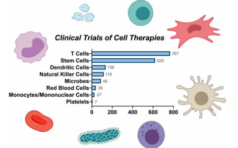 细胞治疗产品大盘点