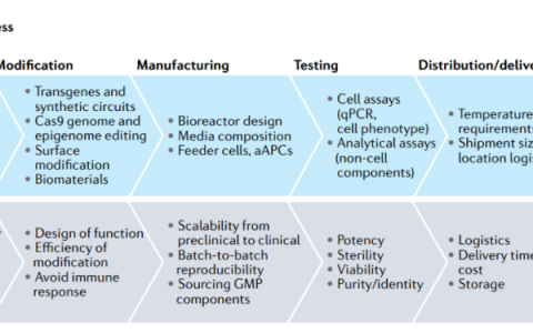 设计新一代的细胞疗法