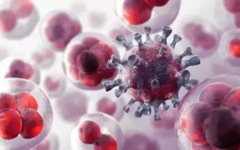 细谈NK细胞免疫疗法是如何成为维持年轻和健康的密码！