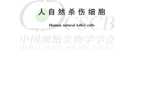 全文发布！《人自然杀伤细胞》、《人神经干细胞》、《人干细胞来源细胞外囊泡制备通用要求》团体标准（中国细胞生物学学会发布）