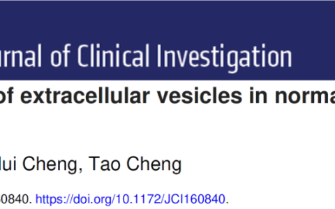 JCI | 中国医学科学院血液病医院程涛教授，程辉研究员联合上海交通大学医学院郑俊克教授：细胞外囊泡在正常造血及血液肿瘤中的作用