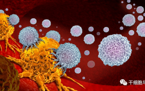 齐鲁制药和赛元生物联合利用iPS细胞技术开发CAR-iMAC细胞疗法