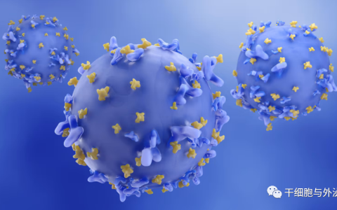 基因泰克出资5亿元用于实体瘤CAR-T治疗研究