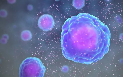 ​干细胞工艺开发：二维培养VS三维培养