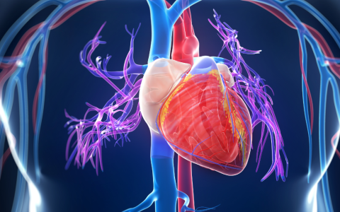 导致20%心源性猝死的心律失常，可90%进行预测！干细胞技术新进展，有望准确判断判断心律失常模式，挽救生命