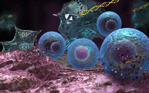 干细胞治疗心脑血管疾病的机制