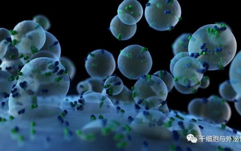 细胞外囊泡在皮肤抗衰老中的应用