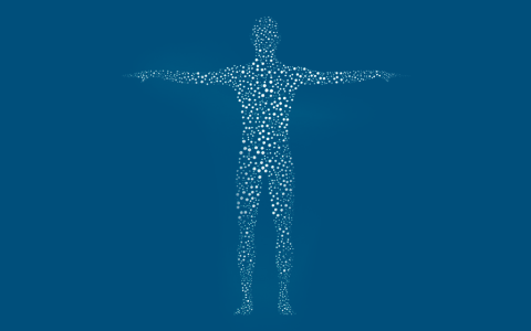 人羊膜上皮干细胞——再生医学的理想种子细胞