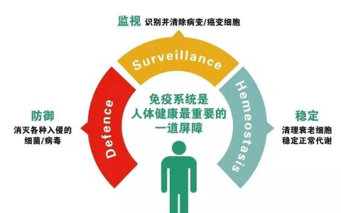 间充质干细胞，80多种自身免疫性疾病患者的新希望