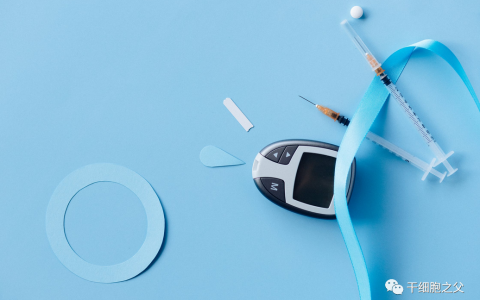 国际期刊首次揭示丨干细胞不仅降血糖，还能保护血管，抵抗糖尿病并发症