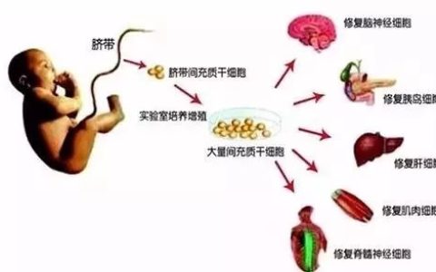 脐带间充质干细胞治疗渐进，已开展25种疾病的临床应用研究！