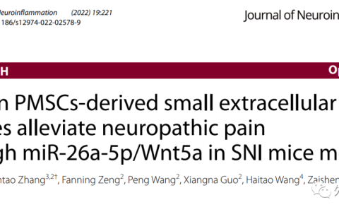 J Neuroinflammation | 湛江中心人民医院陶涛团队：人胎盘间充质干细胞外泌体抗神经炎症缓解神经病理性疼痛