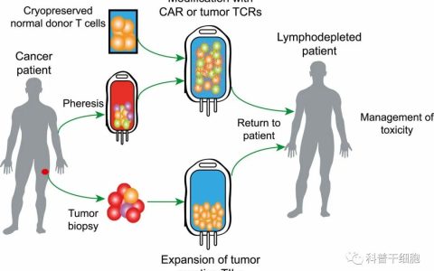【建议收藏】细胞治疗大全，不同细胞治疗之间的差异及优劣势比较
