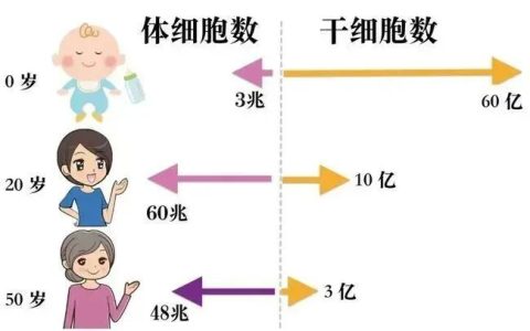 干细胞抗衰保健：一种全新的健康生活方式