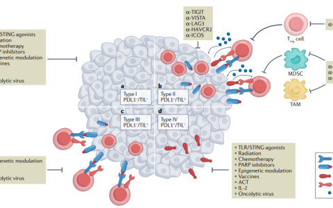 肿瘤部位的适应性免疫抵抗
