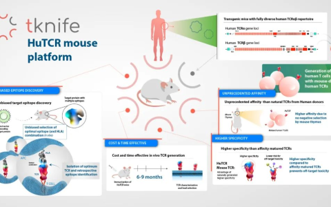 ​实体瘤TCR-T疗法完成1/2期首例患者给药