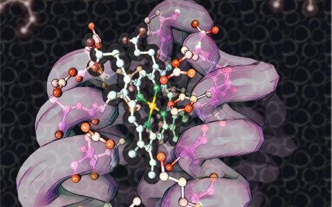 最新综述：抗肿瘤药物三十年，FDA 批准的小分子药物与免疫治疗药物