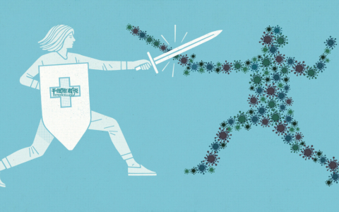 流感发生后，免疫细胞宝宝们在干啥？