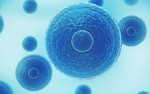 关注细胞治疗|2023细胞生物产业大会将于3月2-3日在深圳举办