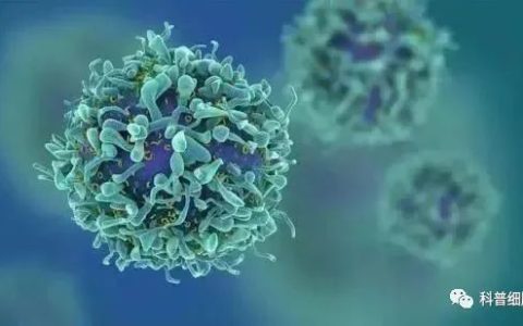 干细胞疗法 | 干预各系统疾病多案例分享