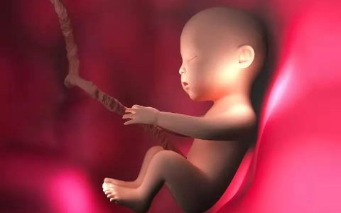 干细胞临床应用范围广阔，前景无限！已有百种临床疾病开展相关研究