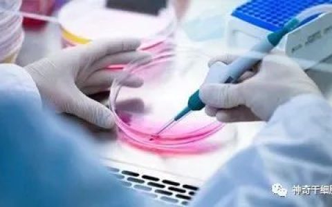 干细胞——是当今最前途无量的生物资产！