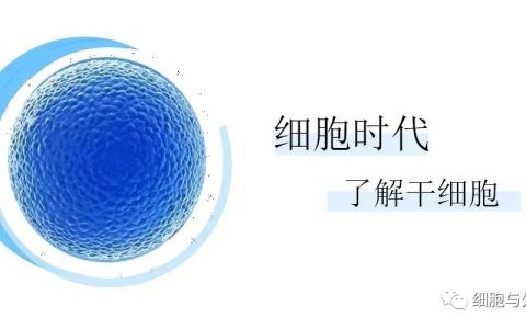 干细胞回输前后需要了解哪些知识