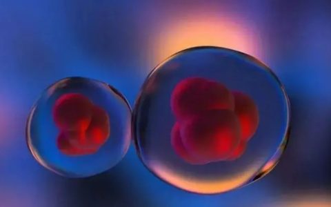 干细胞进入你体内的神奇表现