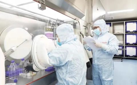 回输细胞必看：干细胞应用过程中常见问题