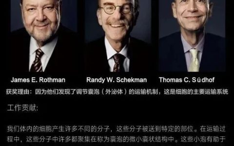 外泌体皮肤抗衰老秘密疗法，在中东迪拜越来越受欢迎和追捧