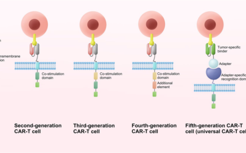重磅盘点 | 肺癌、胃癌、胰腺癌、乳腺癌等，12大常见实体瘤CAR-T疗法进展全览（一）