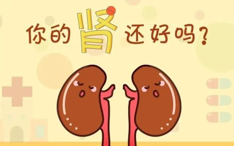 间充质干细胞，成为4类肾病的理想选择