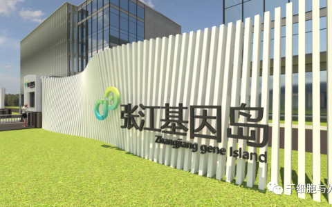 布局细胞治疗“上海模式”，上海要在三年内成为产业核心