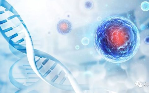 干细胞使用手册请查收!