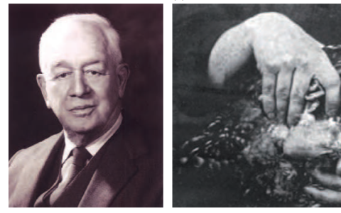 肿瘤生物学：（2）肿瘤病毒