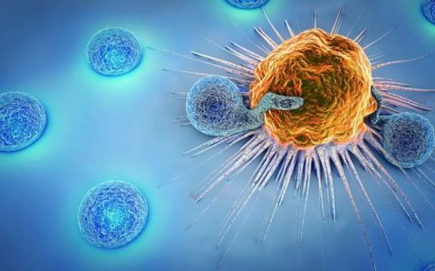 脐带血：CAR-T 细胞的优质来源（肿瘤学前沿最新文章）