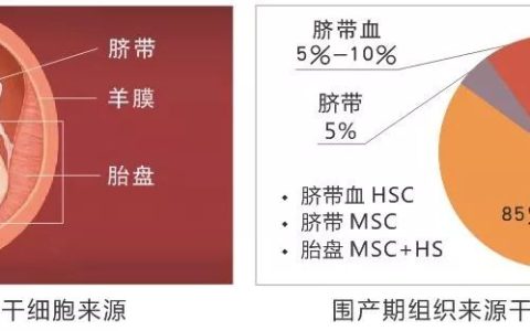 胎盘/脐带间充质干细胞移植缘何无需配型