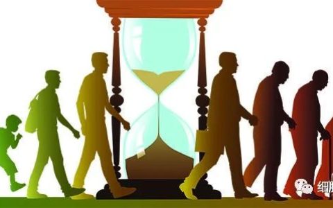 回输干细胞，就如同给身体充电，为生命续航！