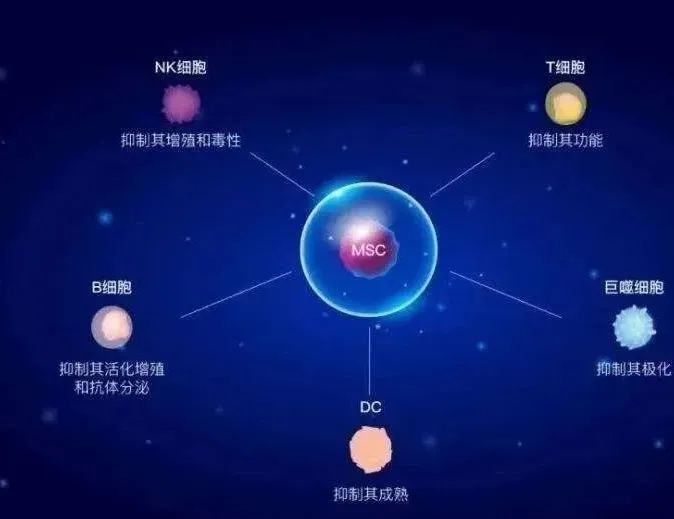 干细胞到底为何物有何用，10个常见的问题，可以一次性回答有关干细胞的全部困惑