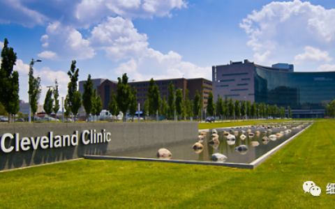 干细胞“替代”阿片，向疼痛发起冲锋！克利夫兰诊所获得NIH首个巨额资助