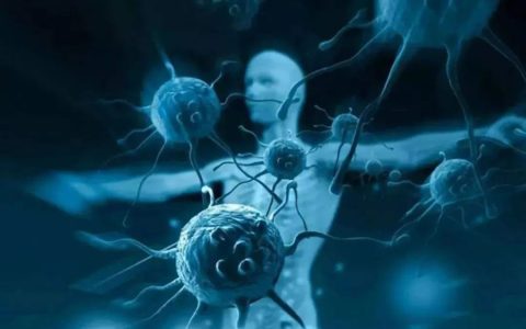 免疫细胞 : 我们的身体，无时无刻不在战斗！