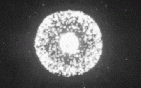 干细胞到底为何物有何用，10个常见的问题，可以一次性回答有关干细胞的全部困惑